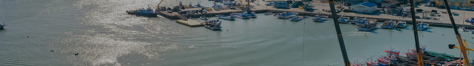 홍도식품_공통상단